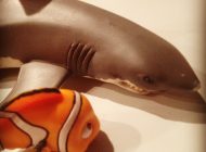 Das Aquarium – da waren’s nur noch 6…