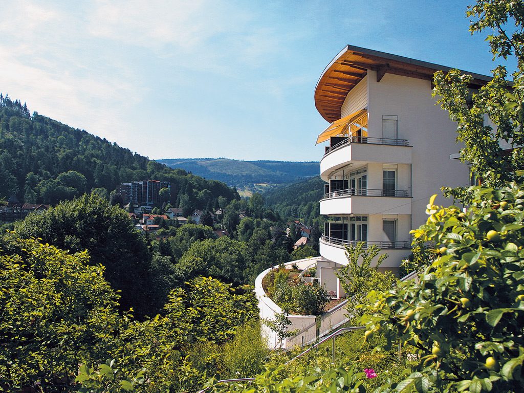 SCHWARZWALD PANORAMA