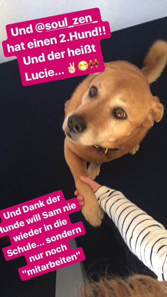 Mittwoch_4